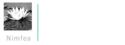 Nimfea