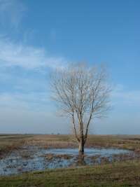 Karcag, Kecskeri-puszta